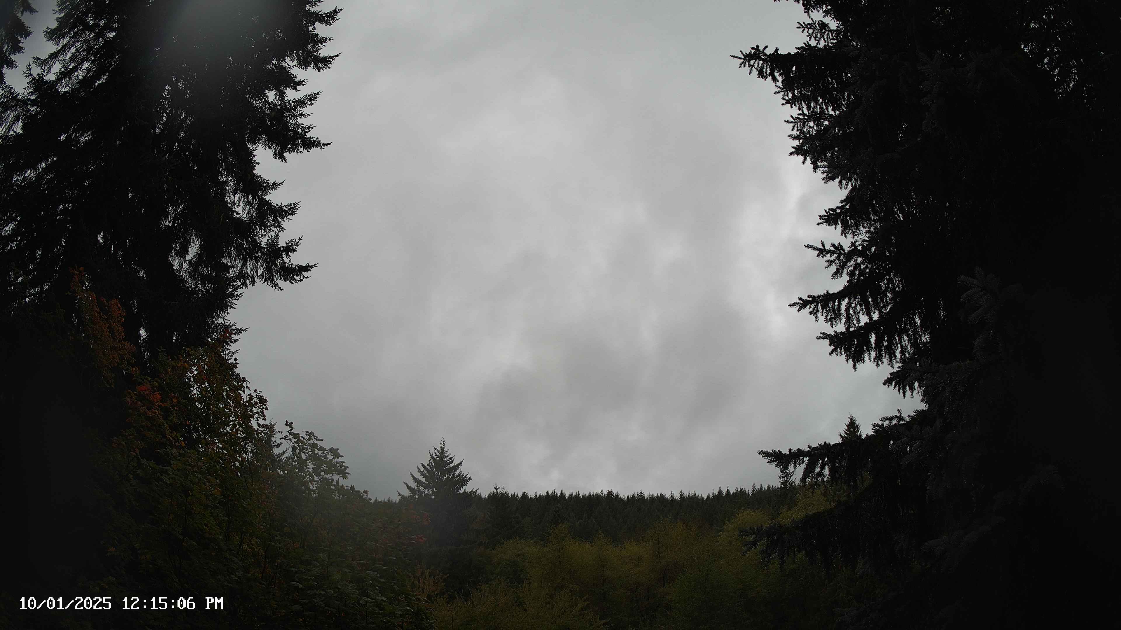 Pacific Northwest skyline timelapse on Oct 01, 2025 at 12:15 PM