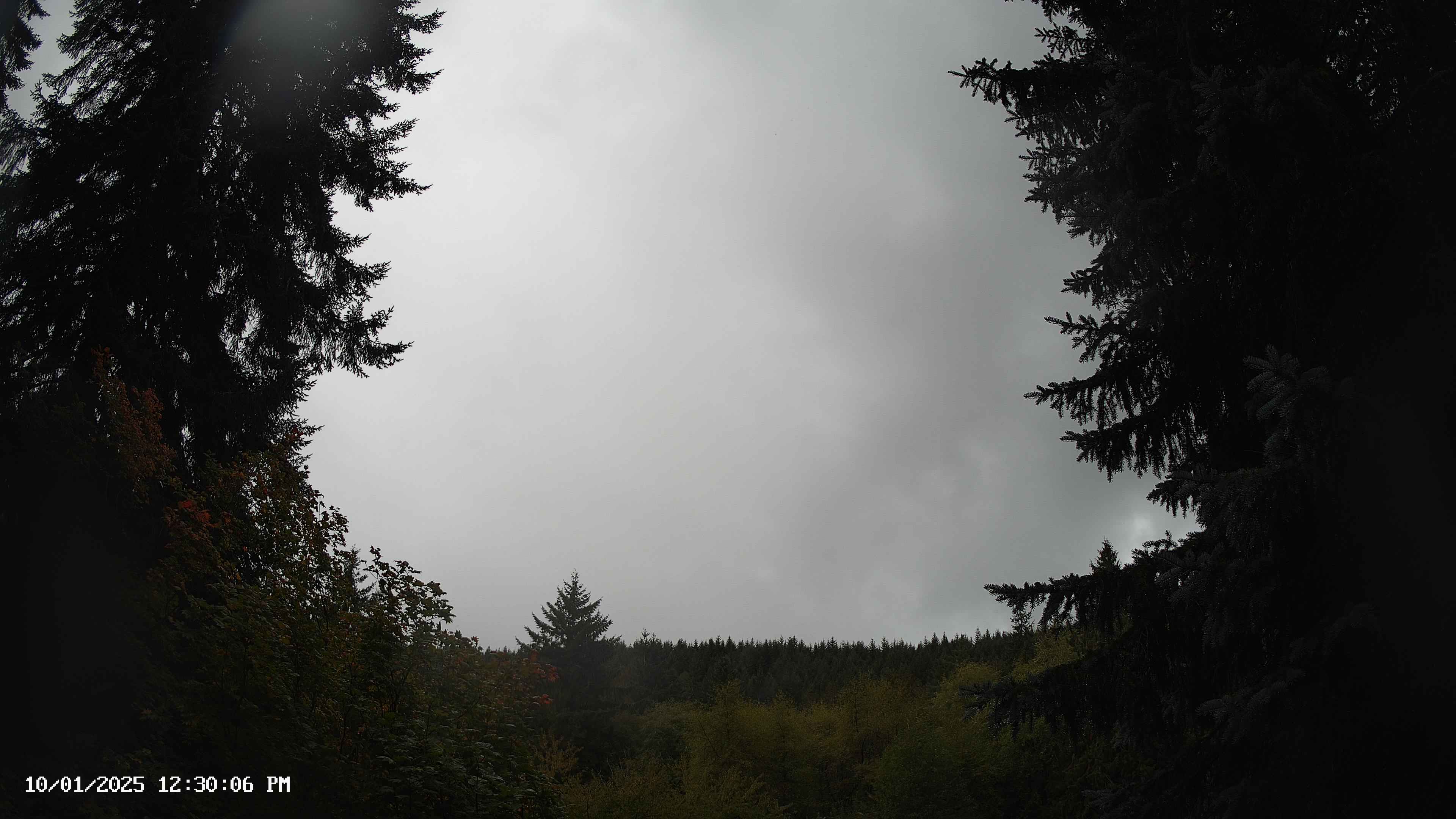 Pacific Northwest skyline timelapse on Oct 01, 2025 at 12:30 PM