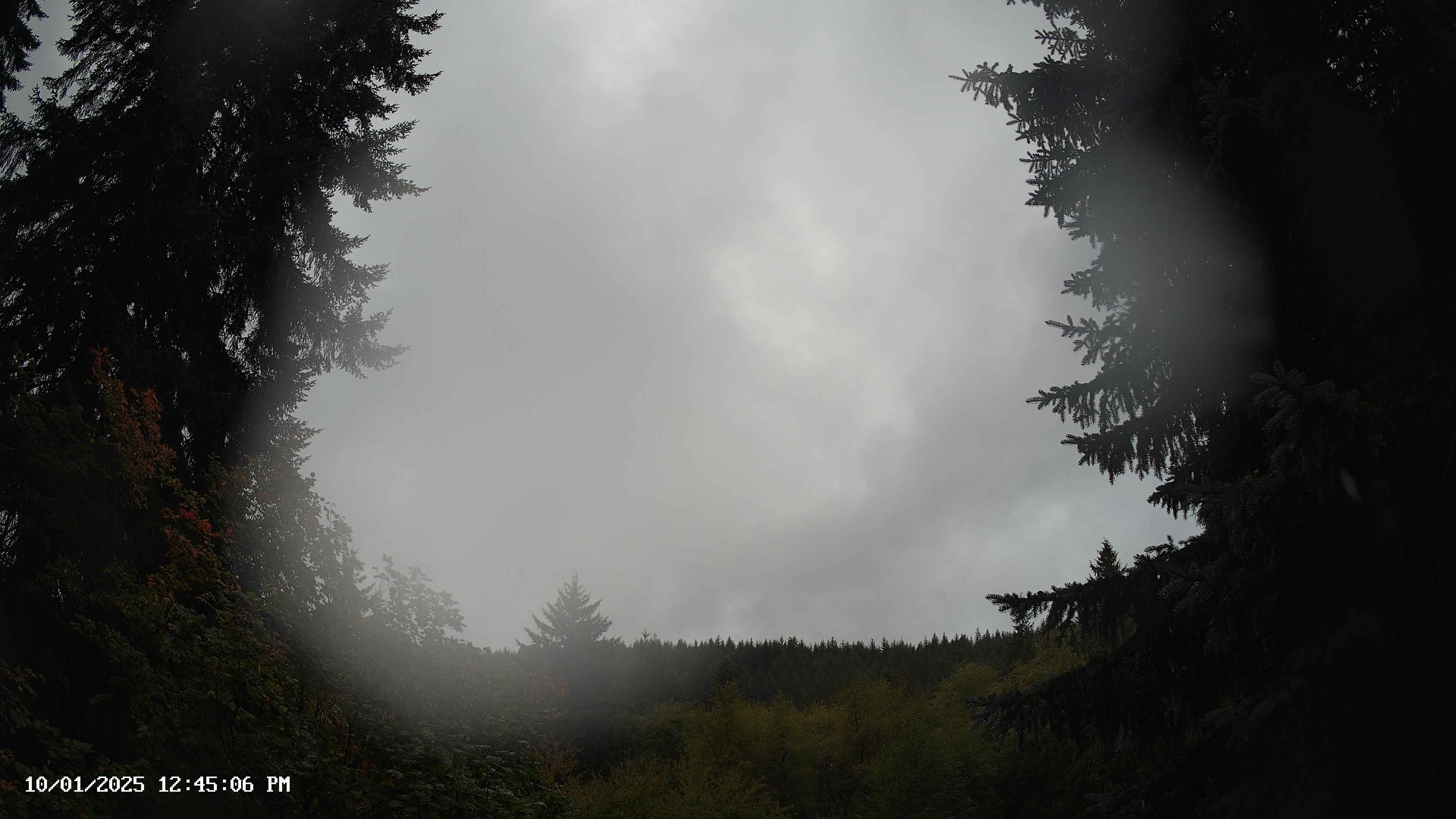 Pacific Northwest skyline timelapse on Oct 01, 2025 at 12:45 PM