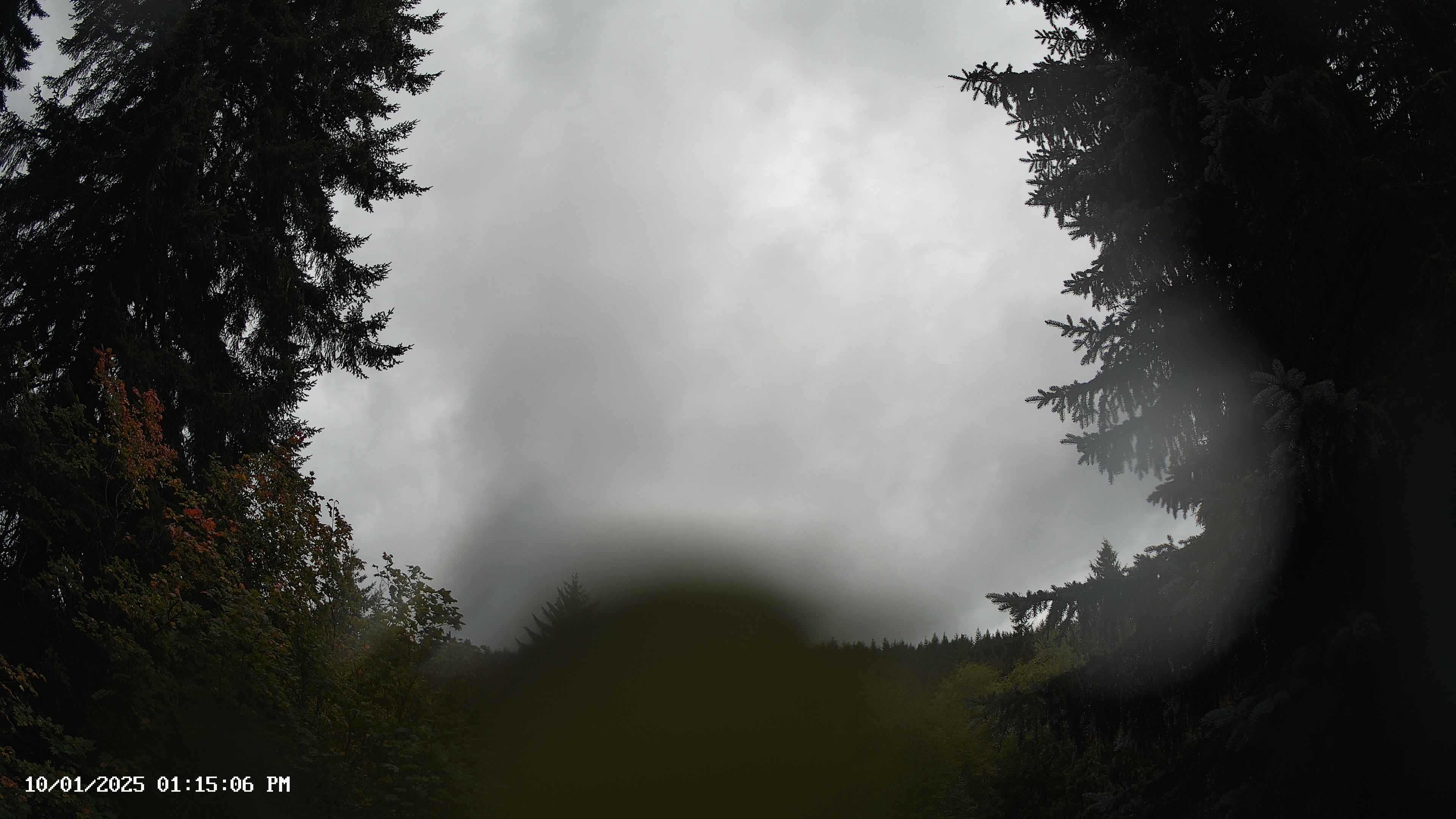 Pacific Northwest skyline timelapse on Oct 01, 2025 at 1:15 PM