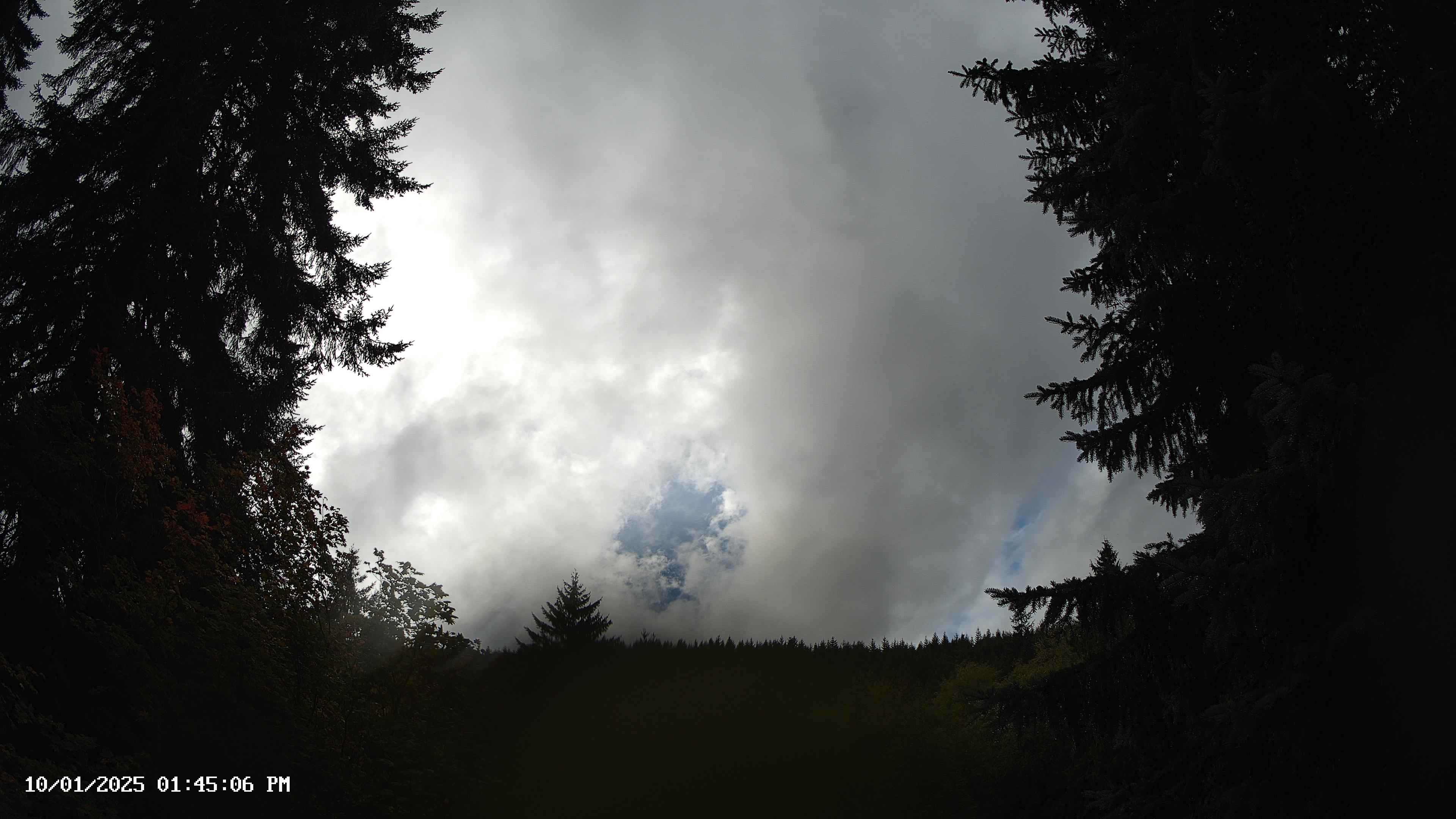 Pacific Northwest skyline timelapse on Oct 01, 2025 at 1:45 PM