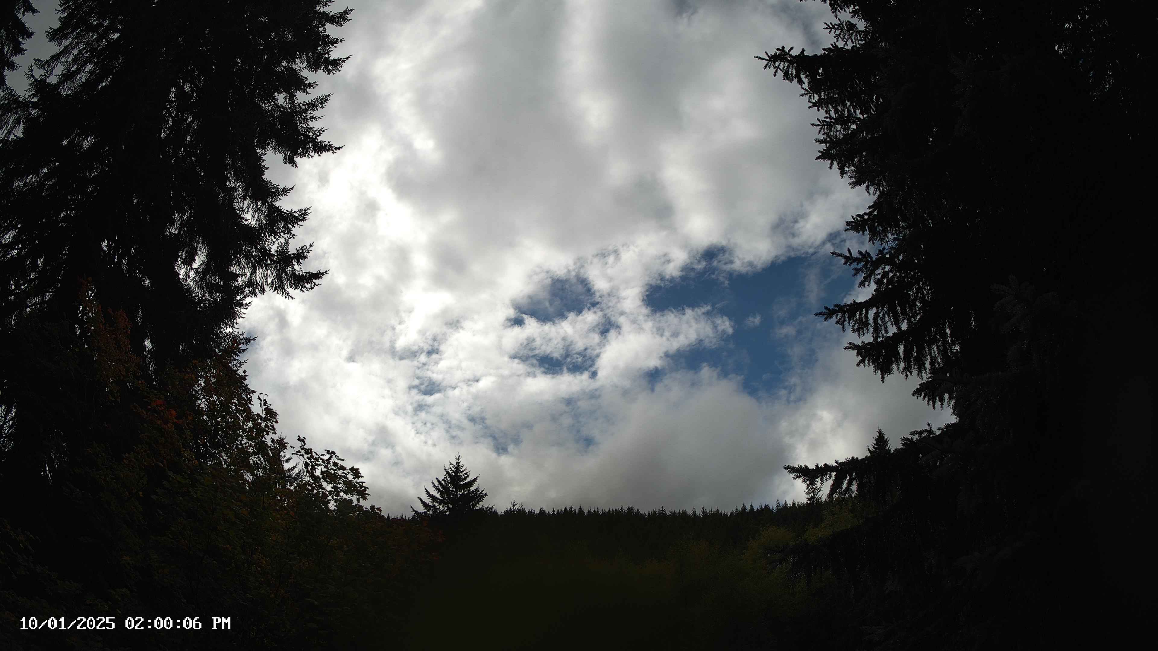 Pacific Northwest skyline timelapse on Oct 01, 2025 at 2:00 PM