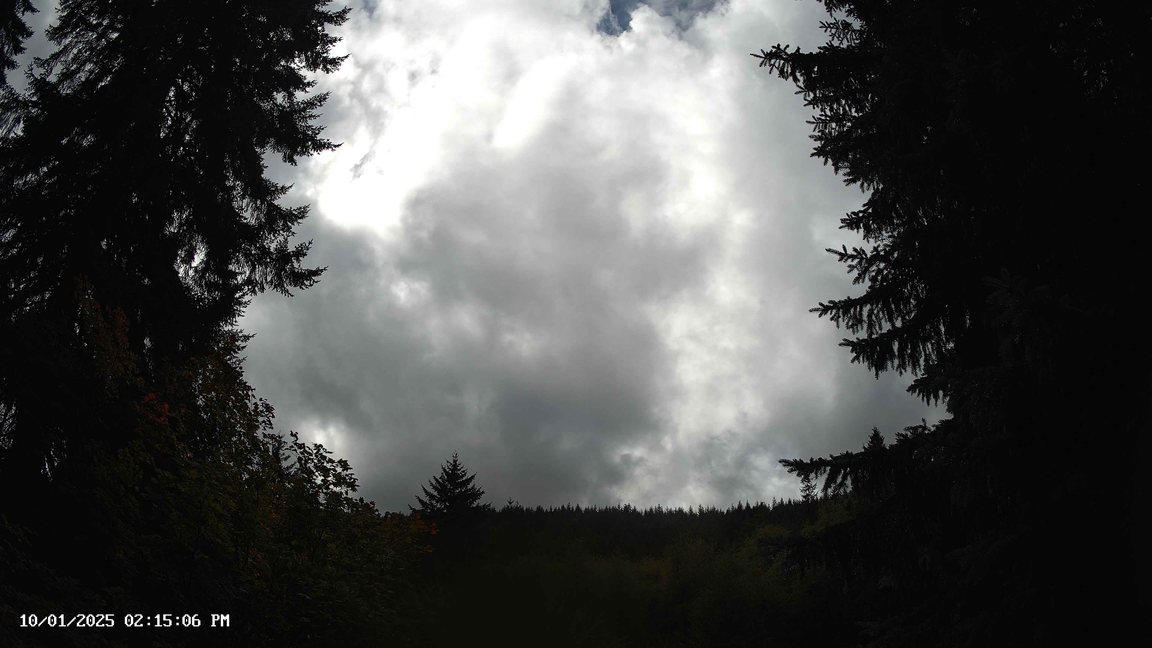 Pacific Northwest skyline timelapse on Oct 01, 2025 at 2:15 PM