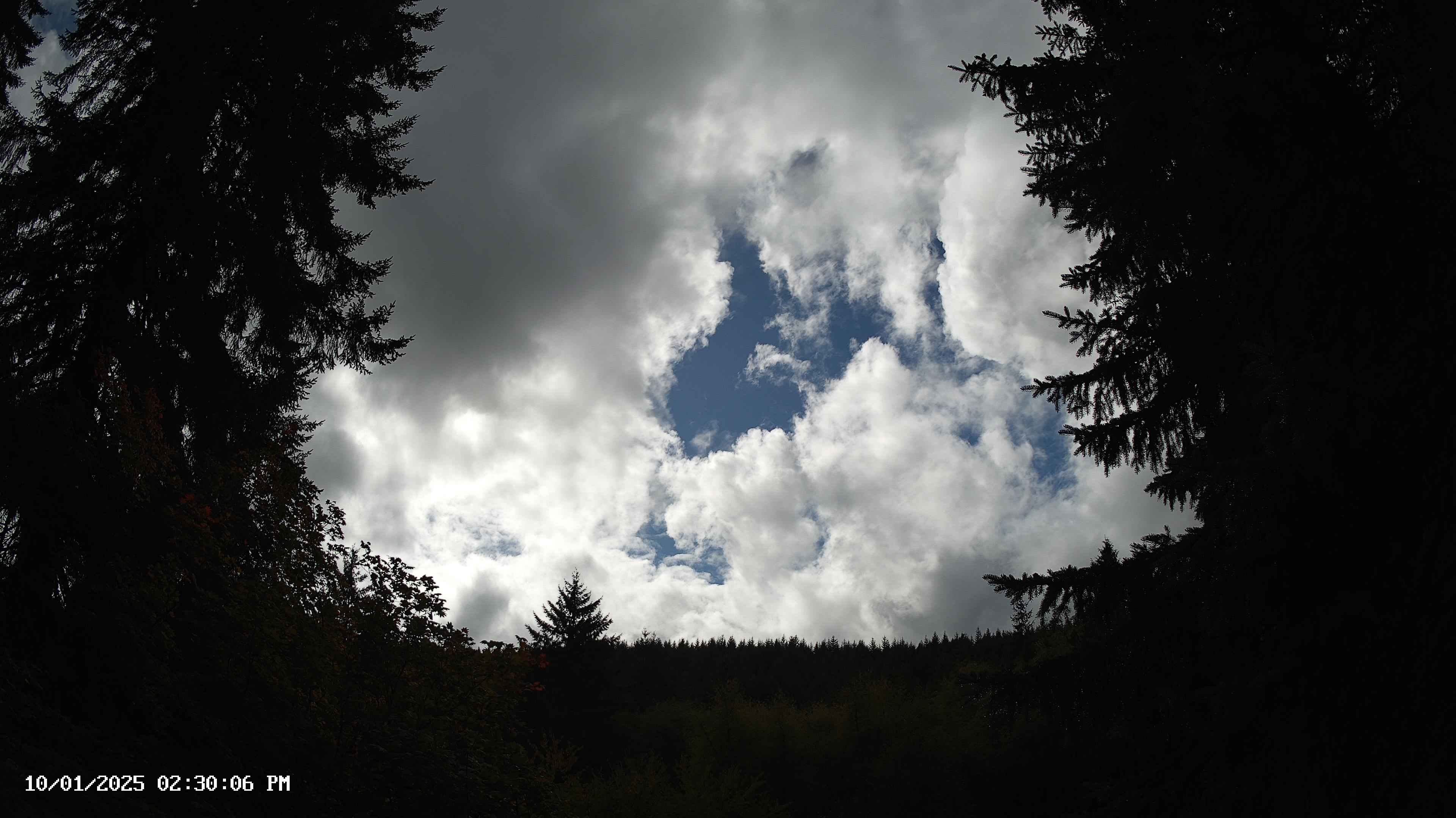 Pacific Northwest skyline timelapse on Oct 01, 2025 at 2:30 PM