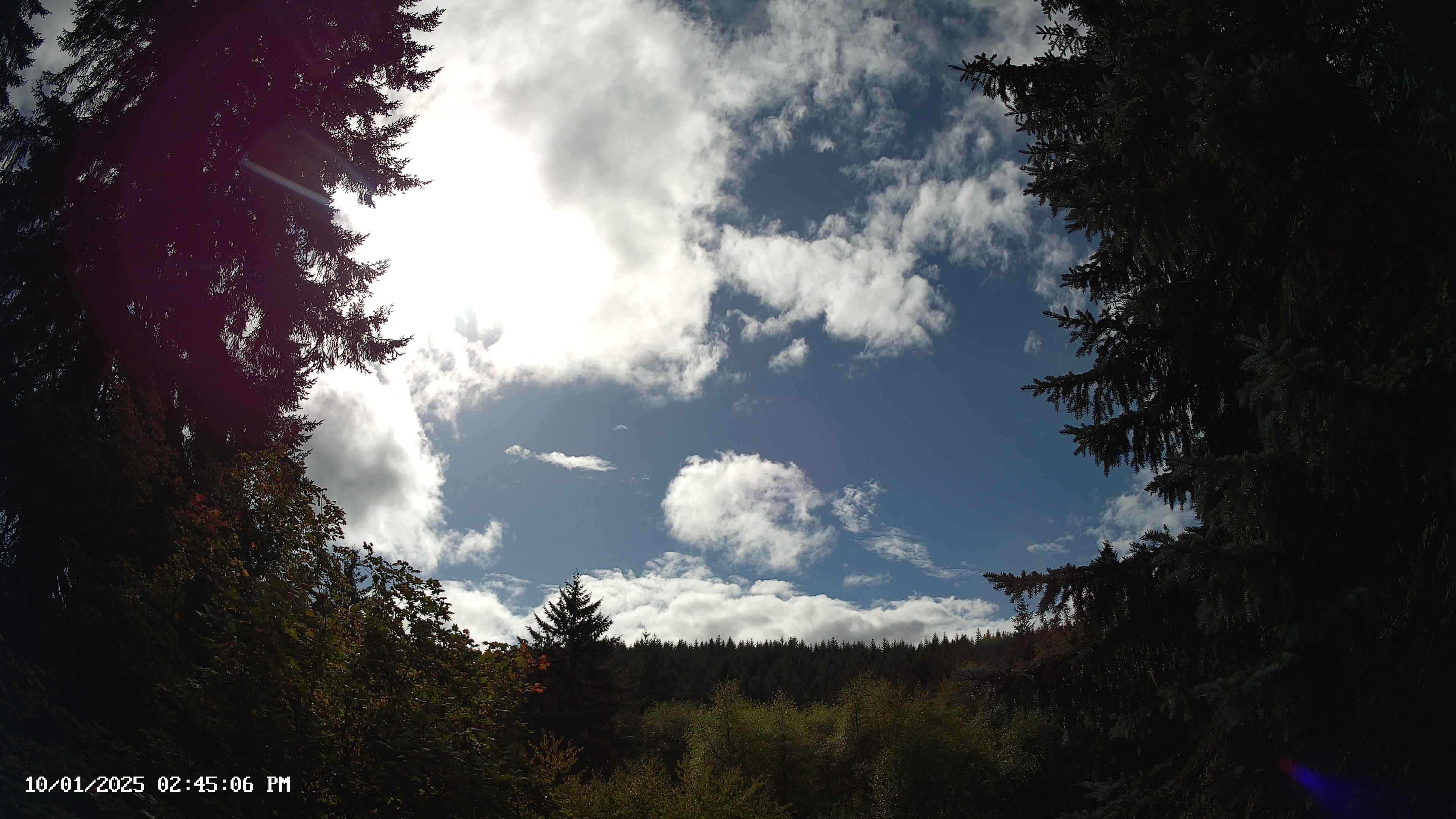 Pacific Northwest skyline timelapse on Oct 01, 2025 at 2:45 PM