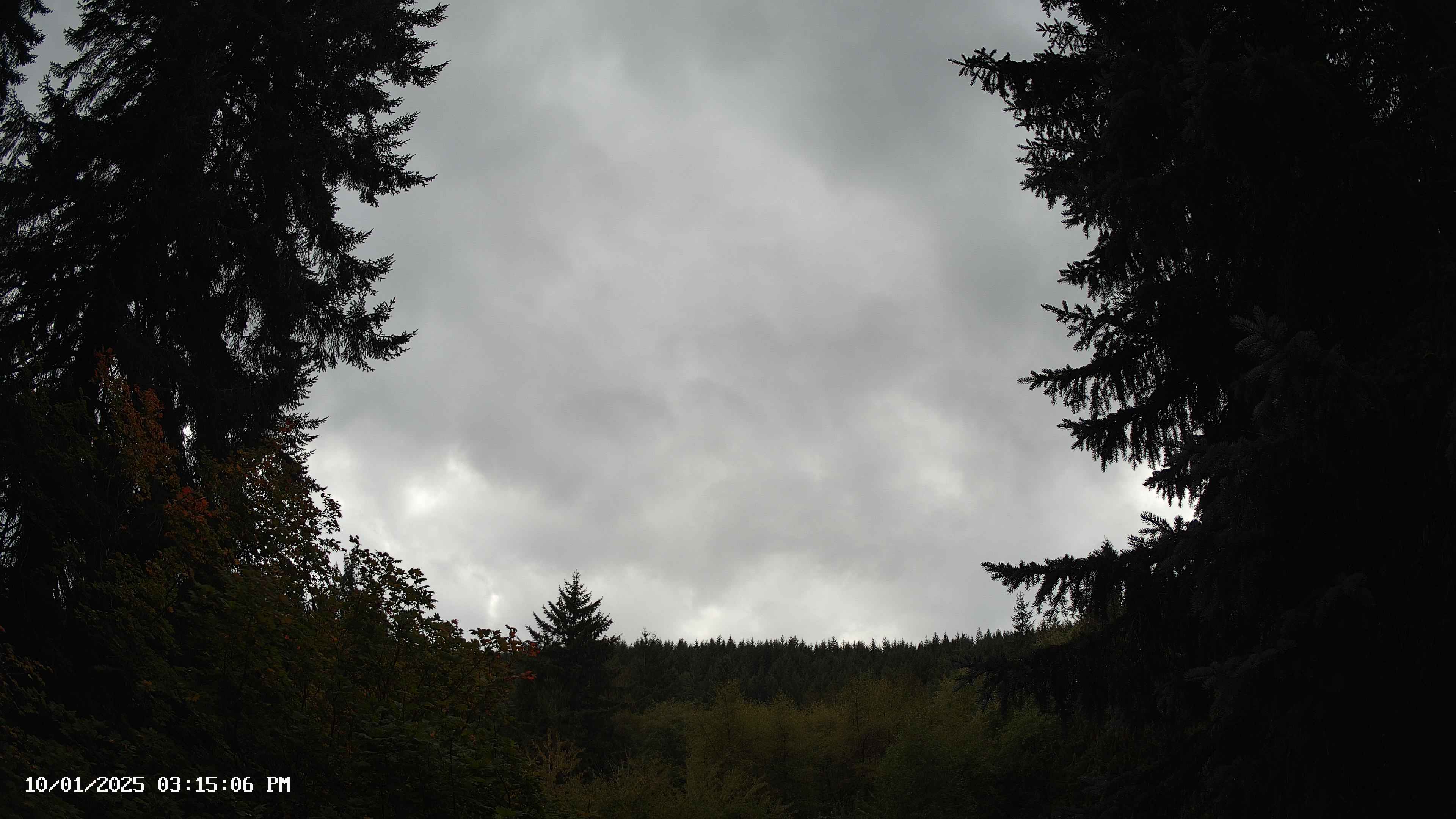 Pacific Northwest skyline timelapse on Oct 01, 2025 at 3:15 PM