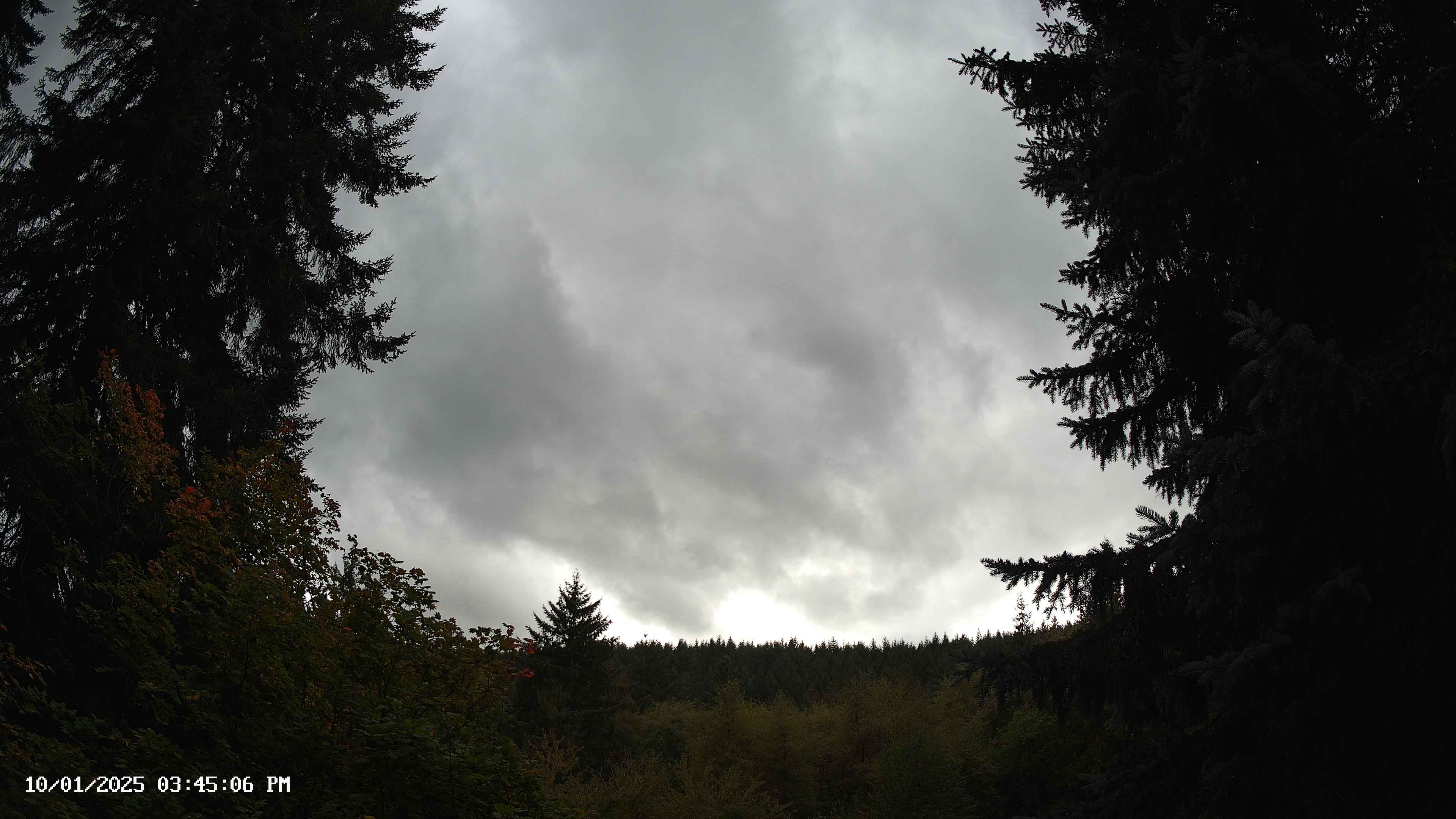 Pacific Northwest skyline timelapse on Oct 01, 2025 at 3:45 PM