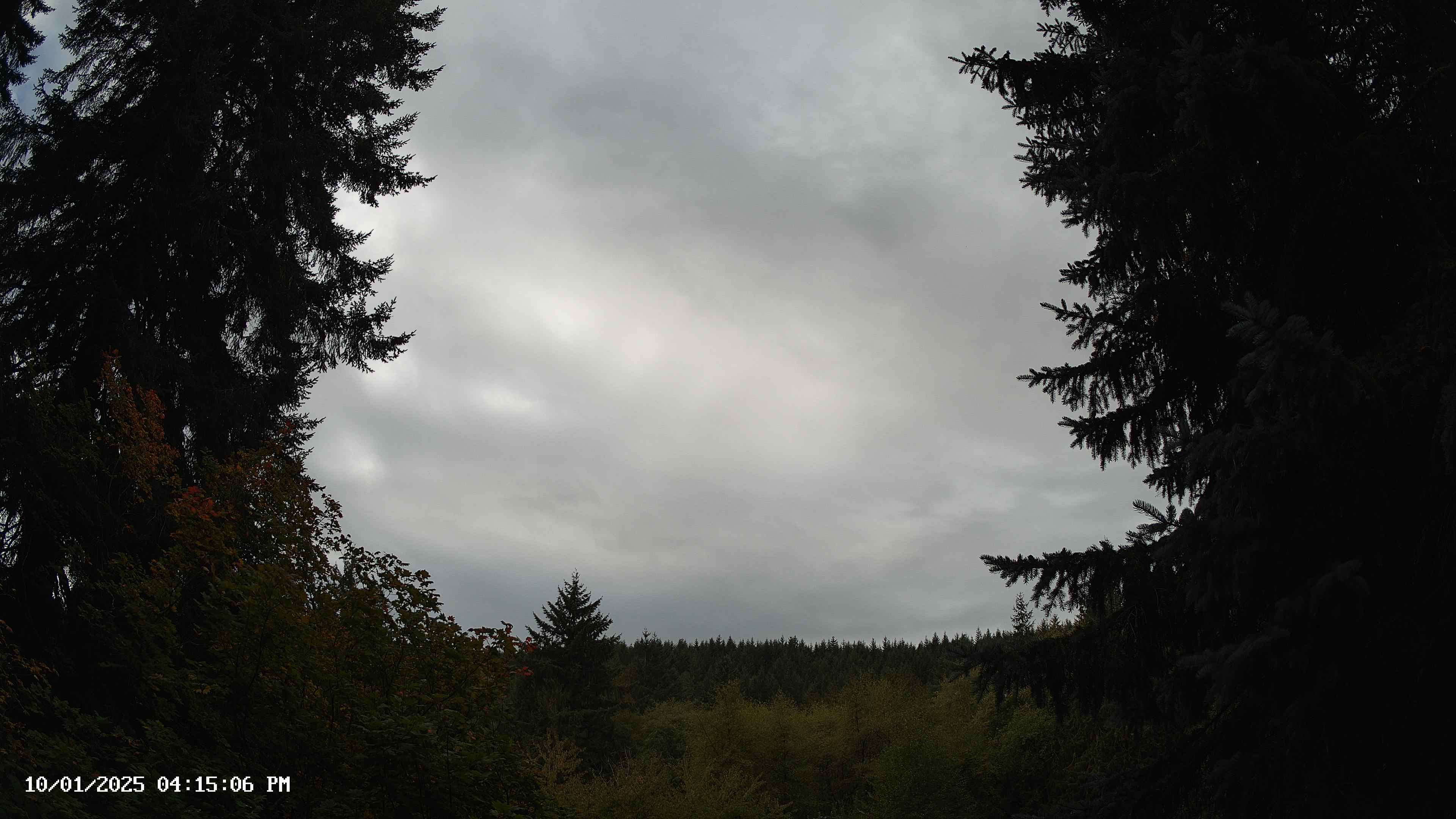 Pacific Northwest skyline timelapse on Oct 01, 2025 at 4:15 PM