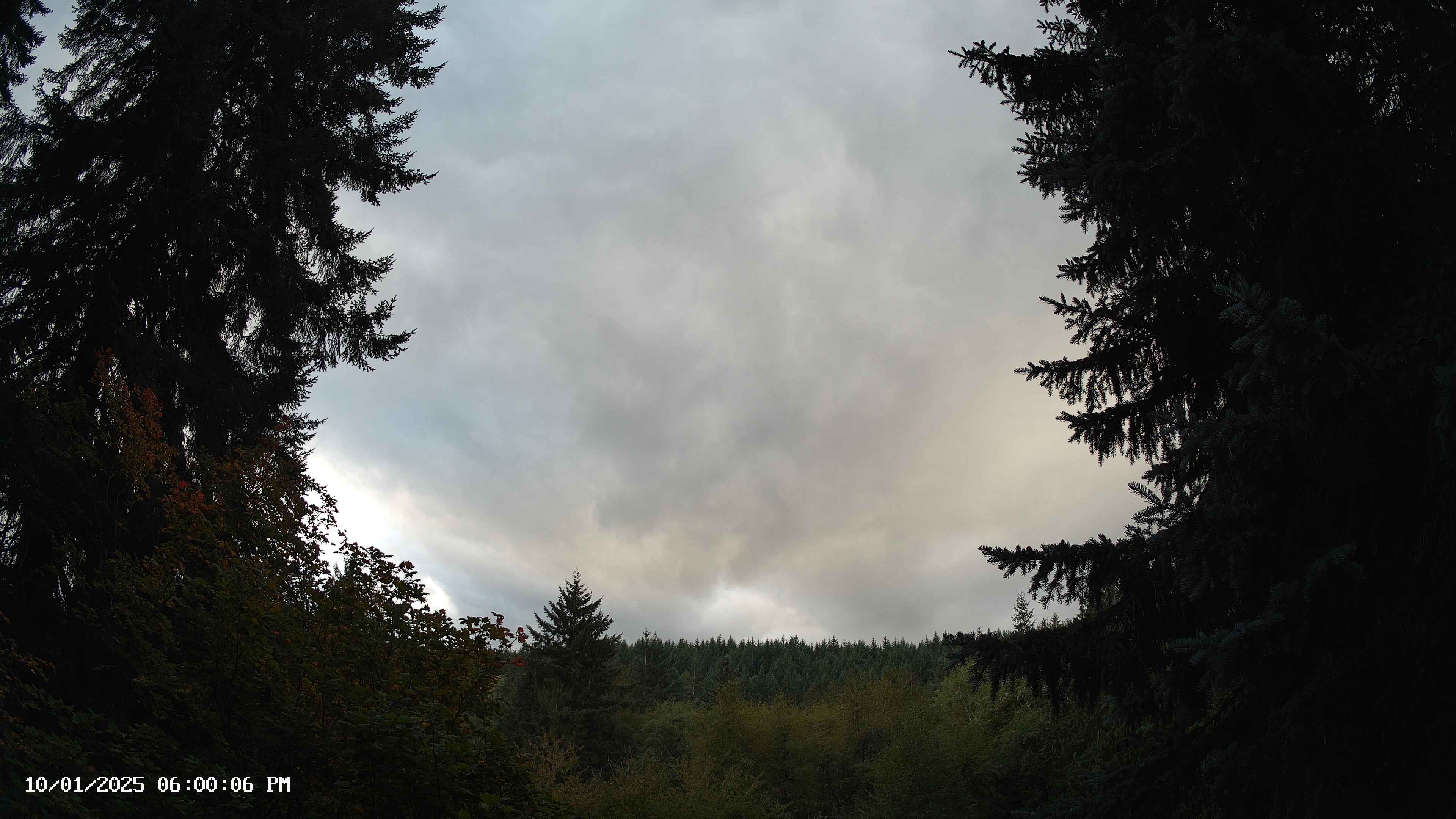 Pacific Northwest skyline timelapse on Oct 01, 2025 at 6:00 PM