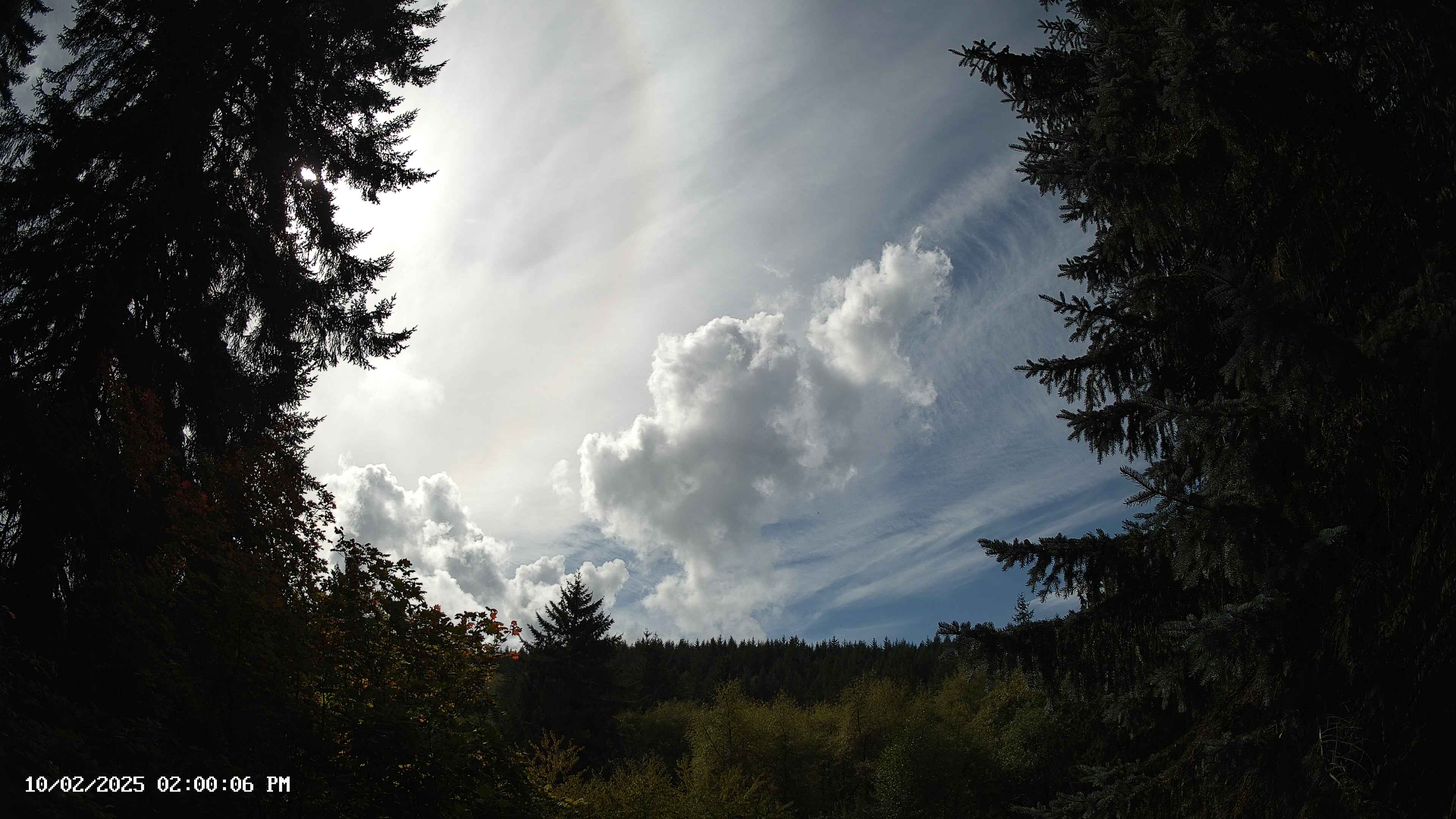 Pacific Northwest skyline timelapse on Oct 02, 2025 at 2:00 PM