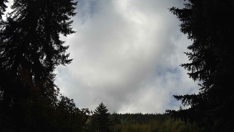 Pacific Northwest skyline timelapse on Oct 03, 2025 at 11:45 AM