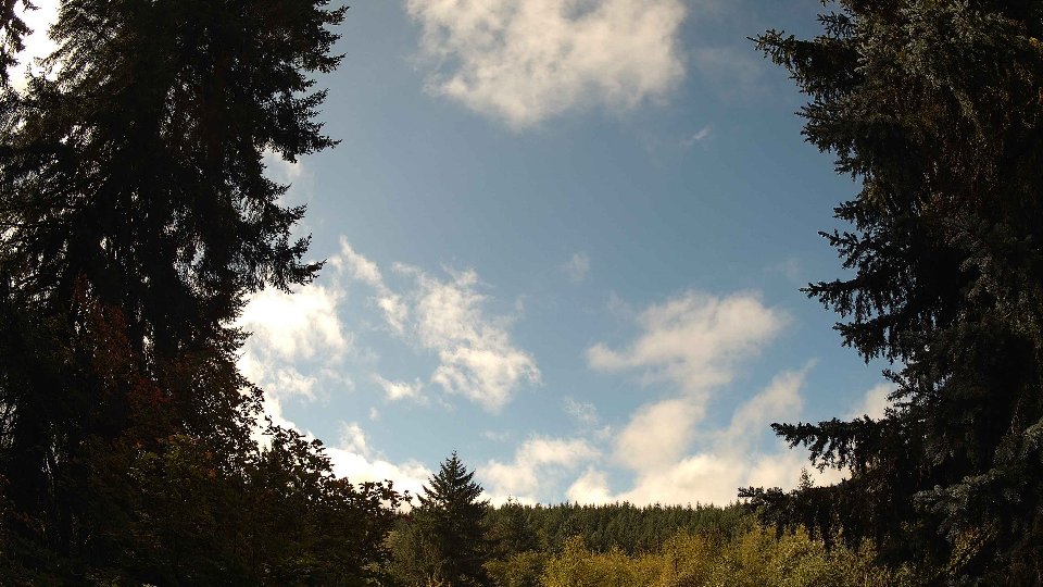 Pacific Northwest skyline timelapse on Oct 03, 2025 at 12:00 PM