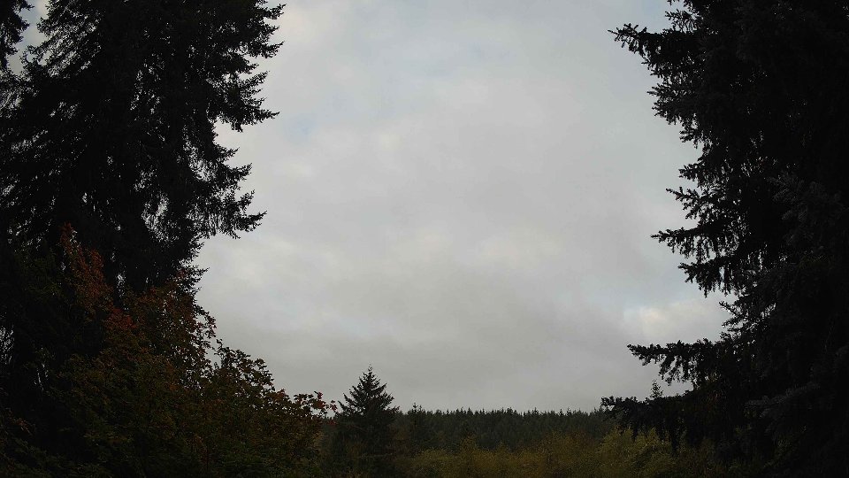 Pacific Northwest skyline timelapse on Oct 04, 2025 at 8:00 AM