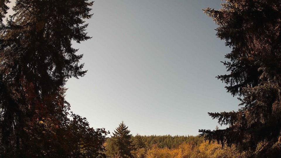 Pacific Northwest skyline timelapse on Oct 06, 2025 at 11:45 AM