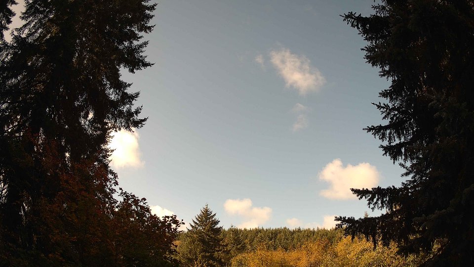 Pacific Northwest skyline timelapse on Oct 08, 2025 at 10:30 AM