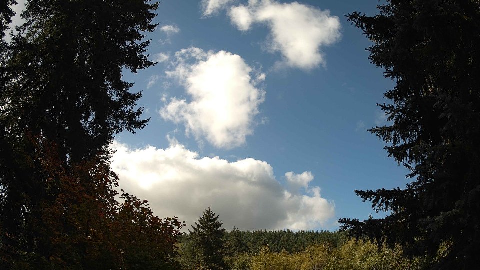 Pacific Northwest skyline timelapse on Oct 08, 2025 at 11:30 AM