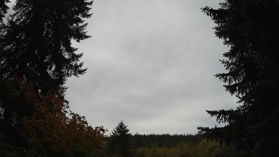 Pacific Northwest skyline timelapse on Oct 09, 2025 at 11:30 AM