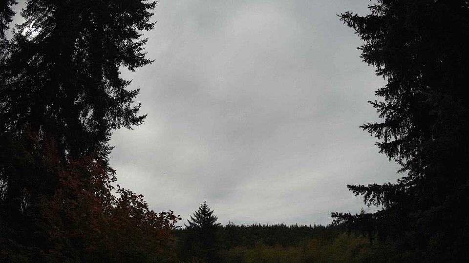 Pacific Northwest skyline timelapse on Oct 09, 2025 at 12:45 PM