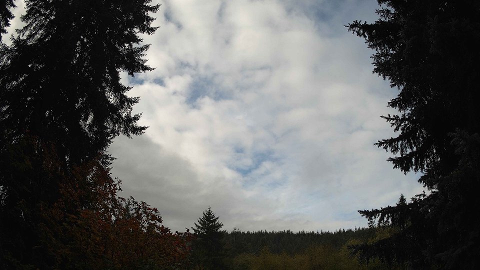 Pacific Northwest skyline timelapse on Oct 11, 2025 at 10:00 AM