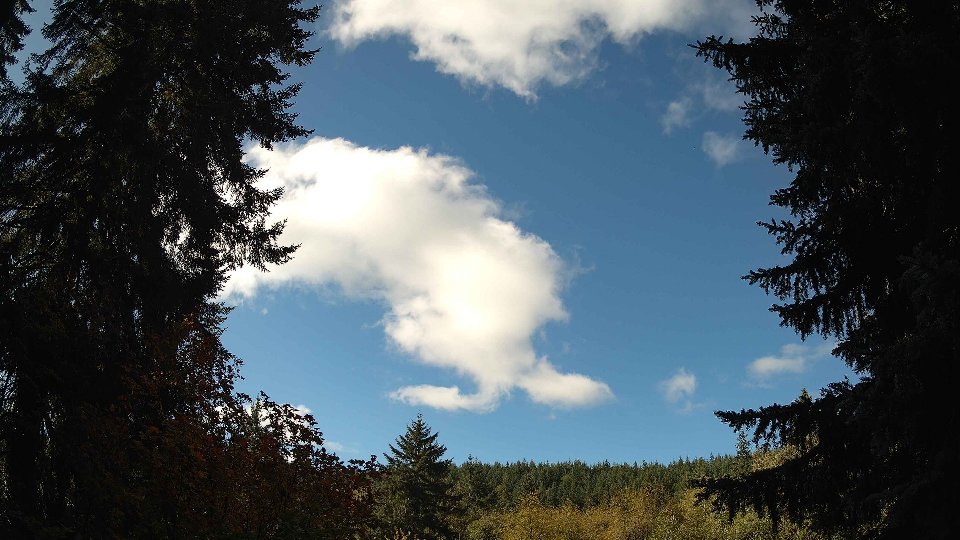 Pacific Northwest skyline timelapse on Oct 13, 2025 at 11:00 AM