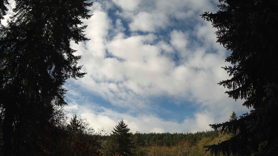 Pacific Northwest skyline timelapse on Oct 27, 2025 at 11:00 AM