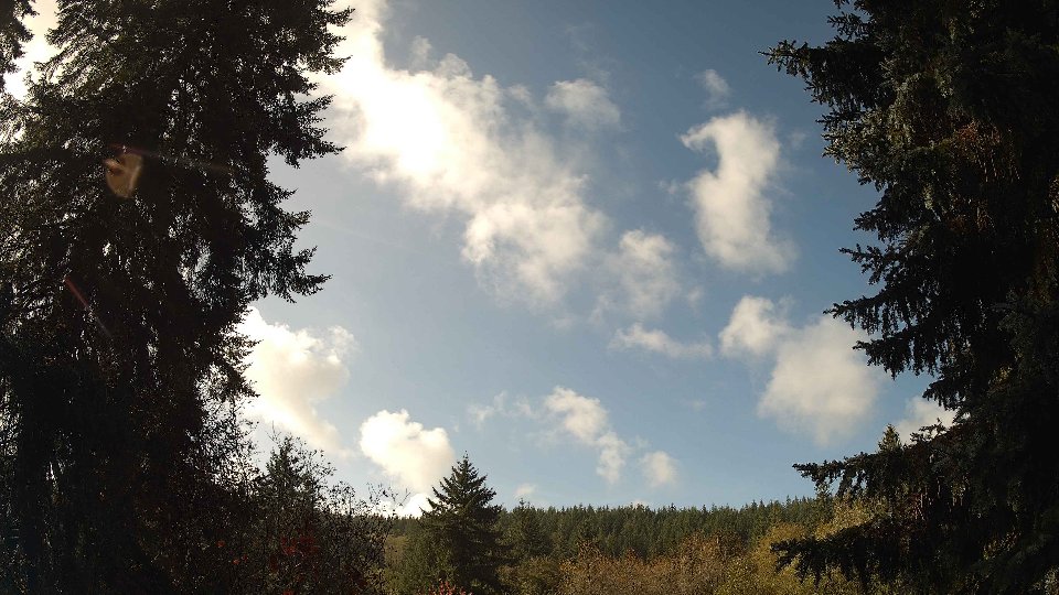 Pacific Northwest skyline timelapse on Oct 29, 2025 at 11:45 AM