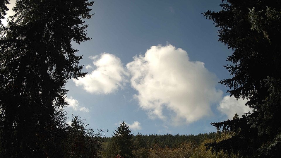 Pacific Northwest skyline timelapse on Oct 29, 2025 at 12:00 PM