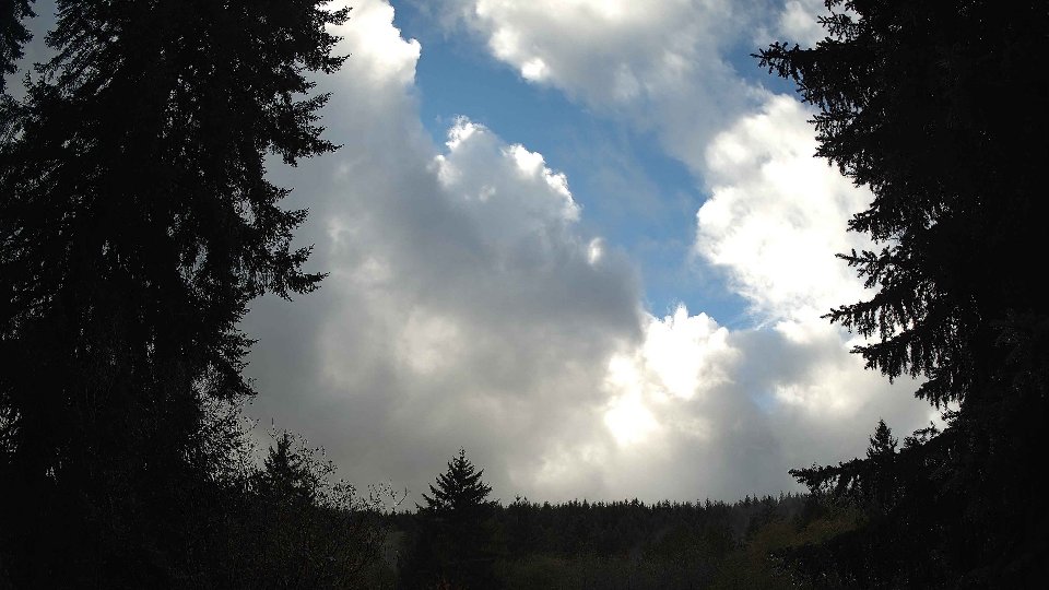 Pacific Northwest skyline timelapse on Nov 1st, 2025 at 2:30 PM