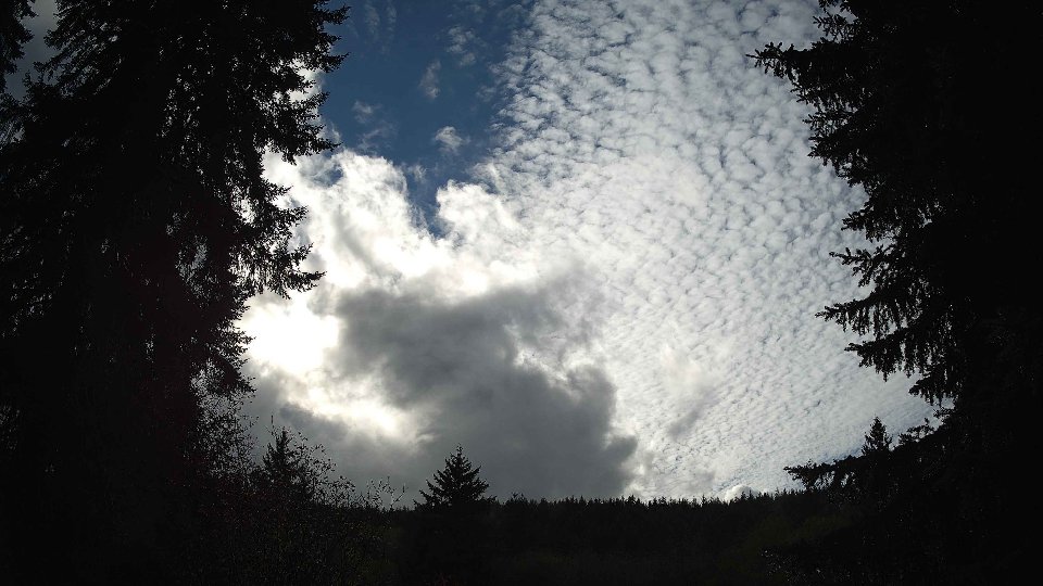 Pacific Northwest skyline timelapse on Nov 1st, 2025 at 2:45 PM