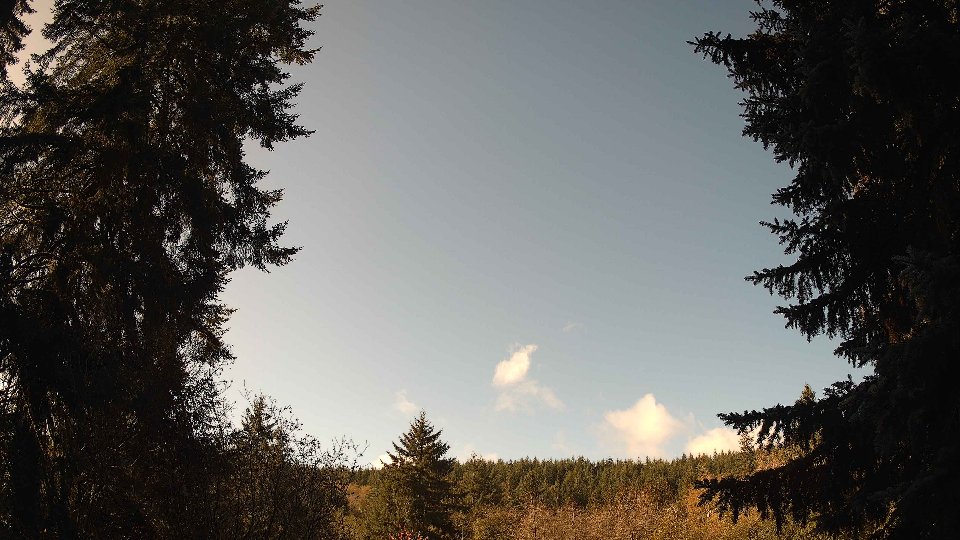 Pacific Northwest skyline timelapse on Nov 2nd, 2025 at 9:15 AM