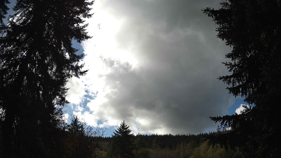 Pacific Northwest skyline timelapse on Nov 2nd, 2025 at 11:15 AM