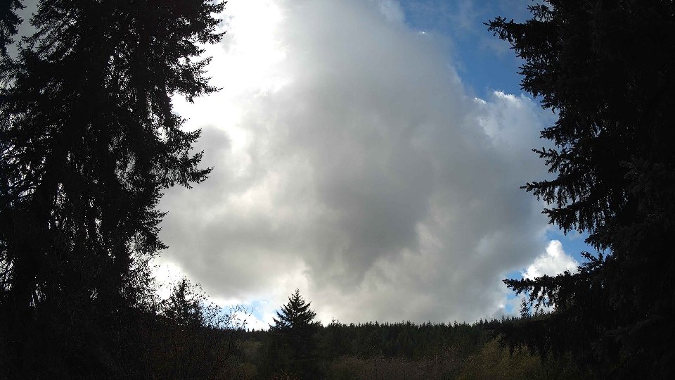 Pacific Northwest skyline timelapse on Nov 2nd, 2025 at 11:30 AM