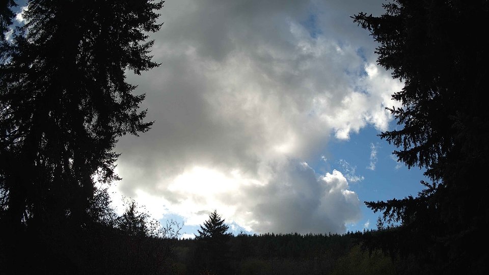 Pacific Northwest skyline timelapse on Nov 2nd, 2025 at 12:00 PM
