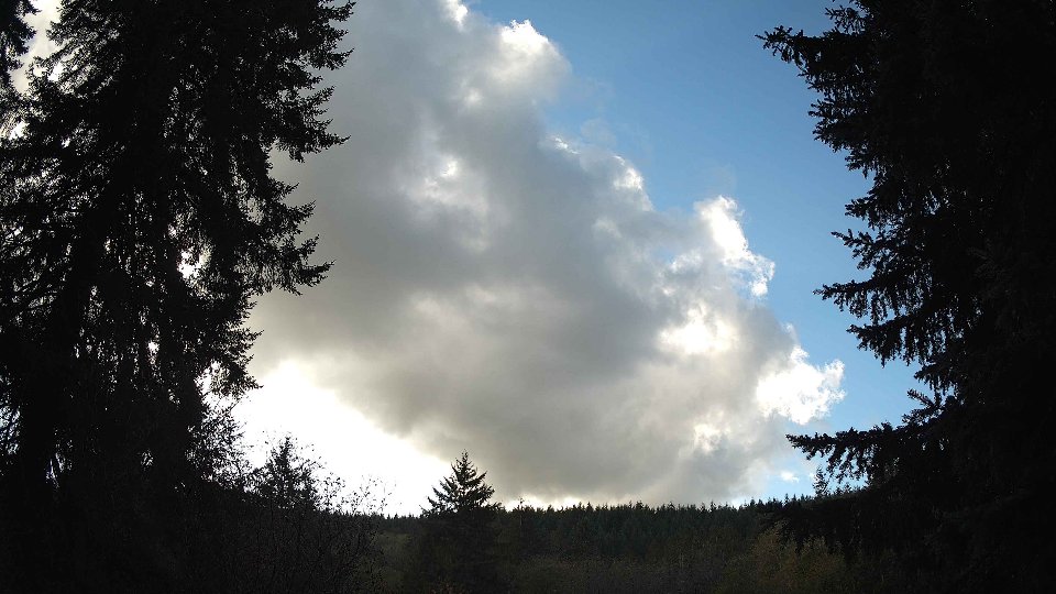 Pacific Northwest skyline timelapse on Nov 2nd, 2025 at 12:15 PM