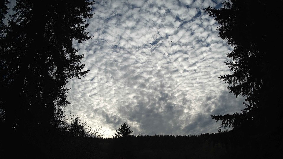 Pacific Northwest skyline timelapse on Nov 2nd, 2025 at 2:45 PM