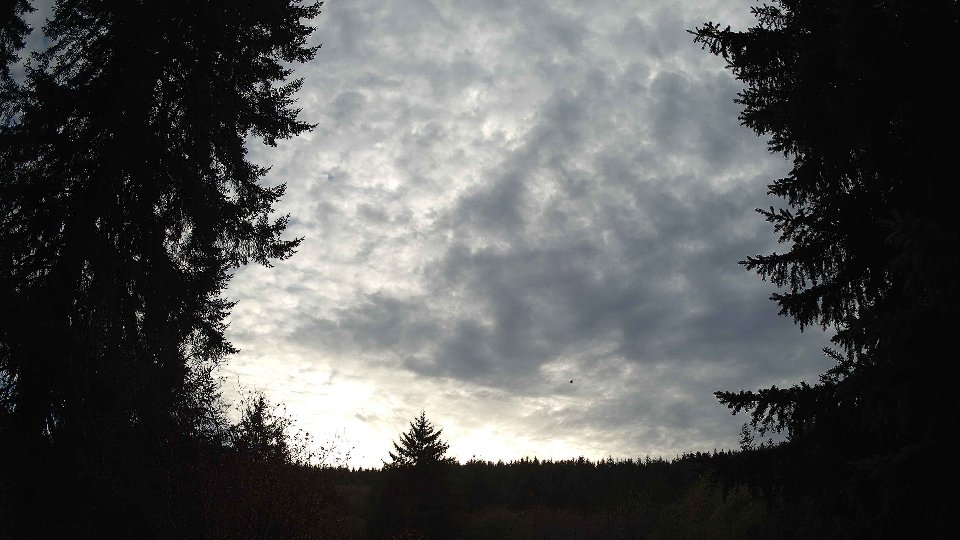 Pacific Northwest skyline timelapse on Nov 2nd, 2025 at 3:00 PM