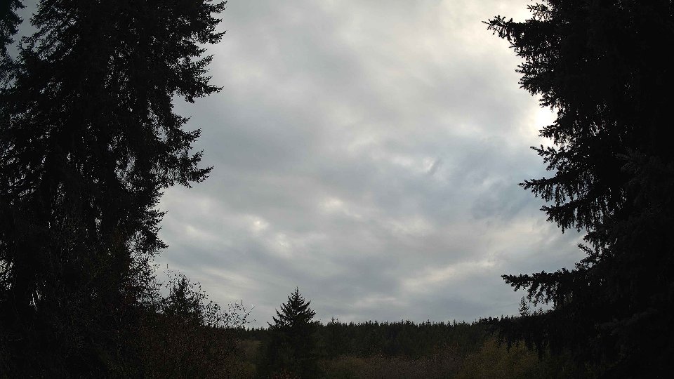 Pacific Northwest skyline timelapse on Nov 2nd, 2025 at 3:30 PM