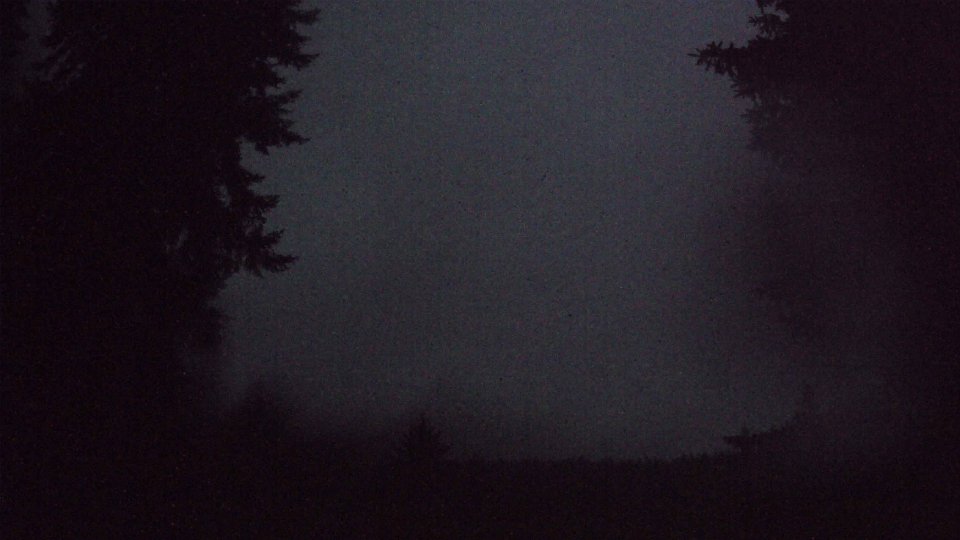 Pacific Northwest skyline timelapse on Nov 03, 2025 at 5:30 PM