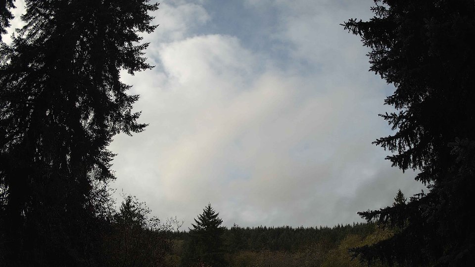 Pacific Northwest skyline timelapse on Nov 4th, 2025 at 10:00 AM