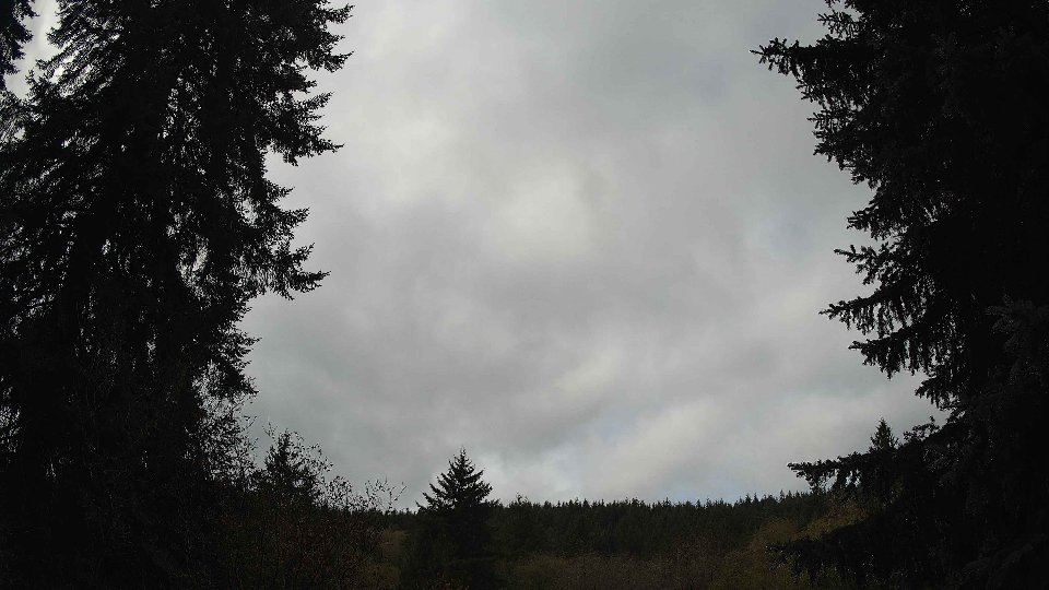 Pacific Northwest skyline timelapse on Nov 4th, 2025 at 11:00 AM
