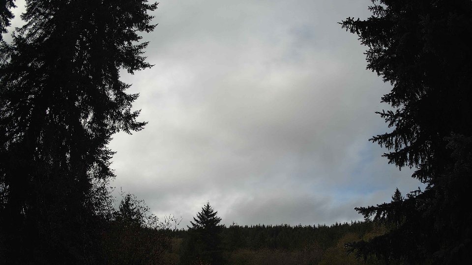 Pacific Northwest skyline timelapse on Nov 4th, 2025 at 11:15 AM