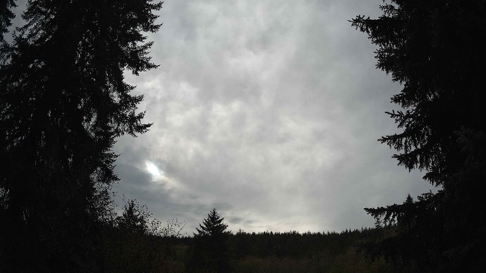 Pacific Northwest skyline timelapse on Nov 4th, 2025 at 2:00 PM