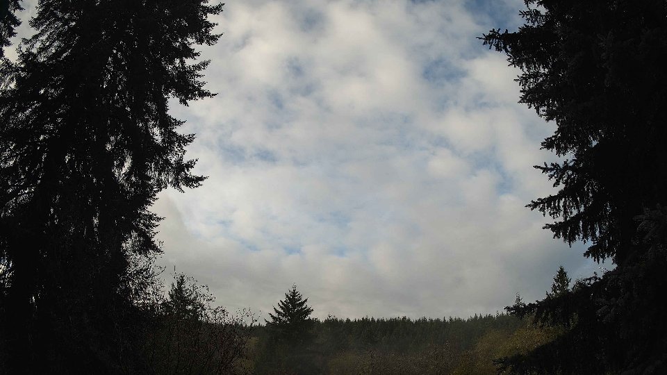 Pacific Northwest skyline timelapse on Nov 07, 2025 at 9:00 AM