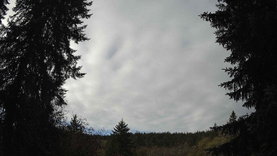 Pacific Northwest skyline timelapse on Nov 07, 2025 at 10:00 AM