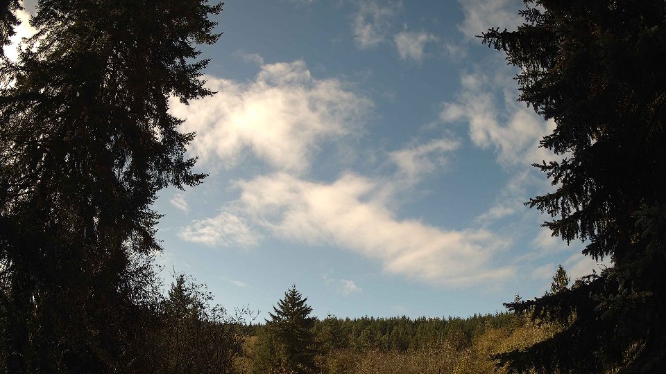 Pacific Northwest skyline timelapse on Nov 07, 2025 at 10:30 AM