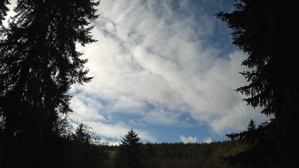 Pacific Northwest skyline timelapse on Nov 07, 2025 at 11:00 AM