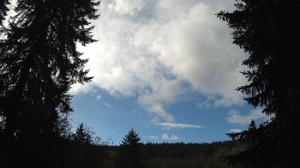 Pacific Northwest skyline timelapse on Nov 07, 2025 at 11:15 AM
