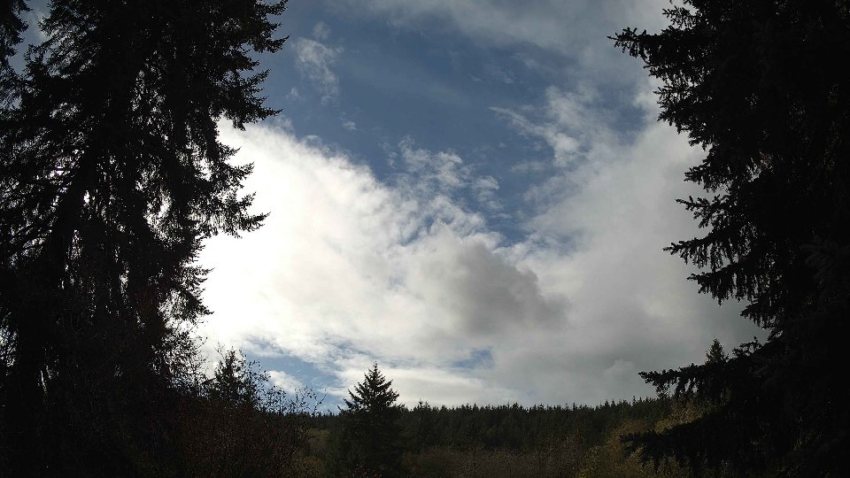 Pacific Northwest skyline timelapse on Nov 07, 2025 at 12:15 PM