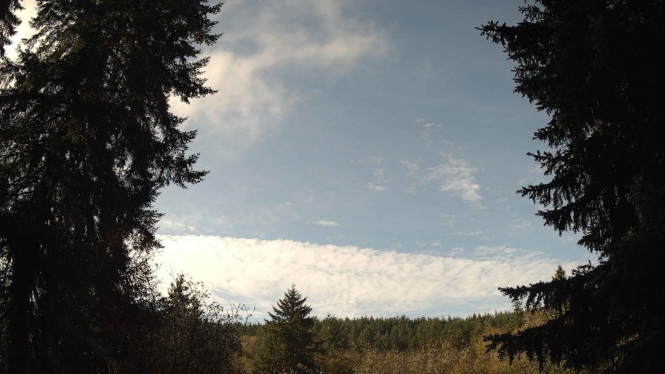 Pacific Northwest skyline timelapse on Nov 08, 2025 at 10:00 AM