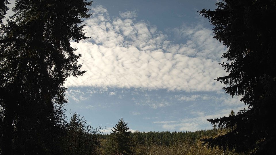 Pacific Northwest skyline timelapse on Nov 08, 2025 at 10:15 AM